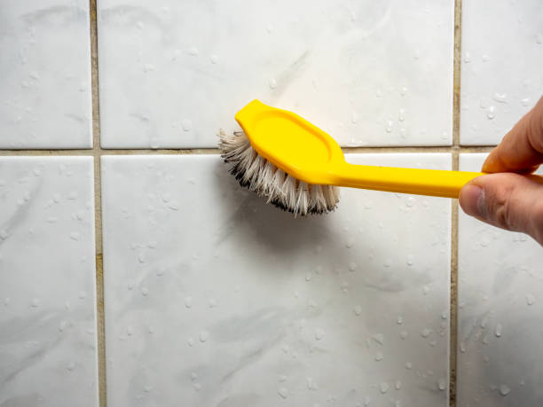 Best Mold Remediation for Schools in Preston, MN